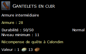 Gantelets en cuir