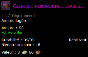 Cagoule rembourrée doublée