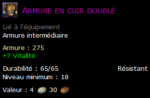 Armure en cuir doublé