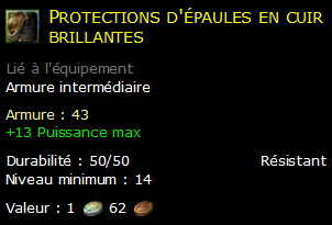 Protections d'épaules en cuir brillantes