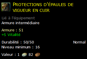 Protections d'épaules de vigueur en cuir