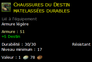 Chaussures du Destin matelassées durables