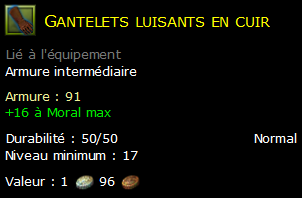 Gantelets luisants en cuir