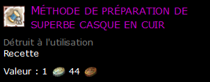 Méthode de préparation de superbe casque en cuir