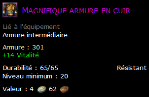 Magnifique armure en cuir