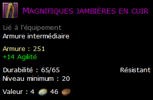 Magnifiques jambières en cuir