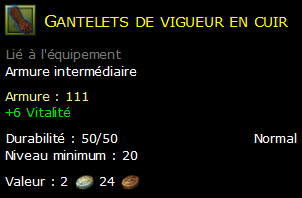 Gantelets de vigueur en cuir