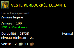 Veste rembourrée luisante