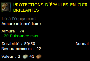 Protections d'épaules en cuir brillantes