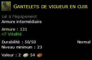 Gantelets de vigueur en cuir