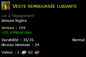 Veste rembourrée luisante