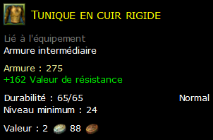 Tunique en cuir rigide