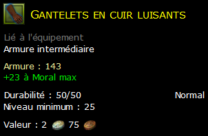 Gantelets en cuir luisants