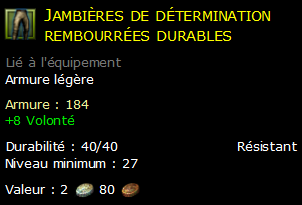 Jambières de détermination rembourrées durables