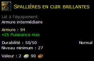 Spallières en cuir brillantes