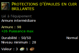 Protections d'épaules en cuir brillantes