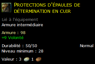 Protections d'épaules de détermination en cuir