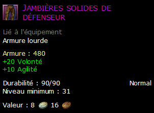 Jambières solides de défenseur