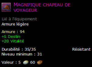 Magnifique chapeau de voyageur