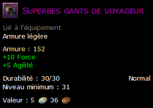 Superbes gants de voyageur