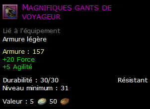 Magnifiques gants de voyageur