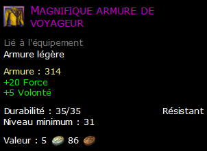 Magnifique armure de voyageur