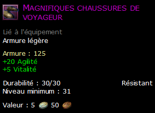 Magnifiques chaussures de voyageur