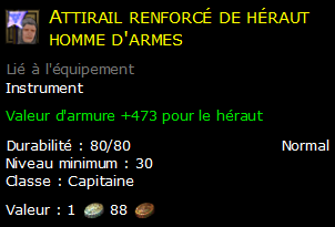 Attirail renforcé de héraut homme d'armes