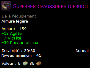 Superbes chaussures d'érudit