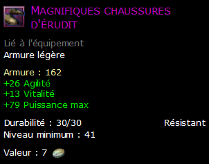 Magnifiques chaussures d'érudit