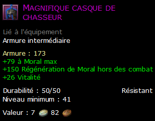 Magnifique casque de chasseur