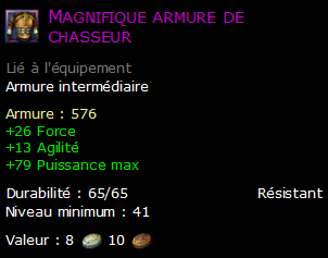 Magnifique armure de chasseur