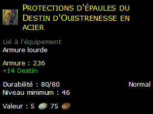 Protections d'épaules du Destin d'Ouistrenesse en acier