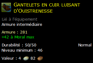 Gantelets en cuir luisant d'Ouistrenesse