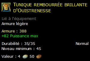 Tunique rembourrée brillante d'Ouistrenesse