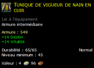 Tunique de vigueur de nain en cuir