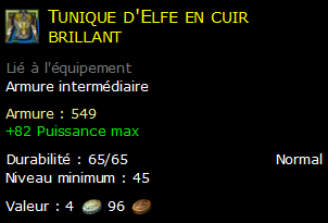 Tunique d'Elfe en cuir brillant