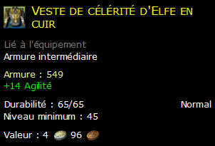 Veste de célérité d'Elfe en cuir