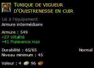 Tunique de vigueur d'Ouistrenesse en cuir