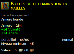 Bottes de détermination en mailles