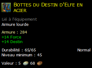 Bottes du Destin d'Elfe en acier