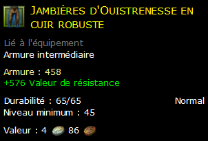 Jambières d'Ouistrenesse en cuir robuste