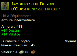 Jambières du Destin d'Ouistrenesse en cuir