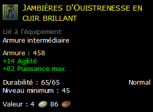 Jambières d'Ouistrenesse en cuir brillant