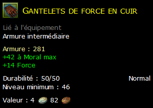 Gantelets de force en cuir