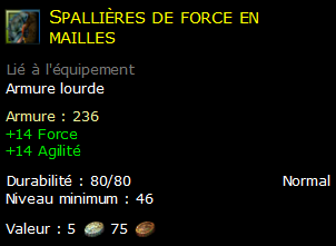 Spallières de force en mailles