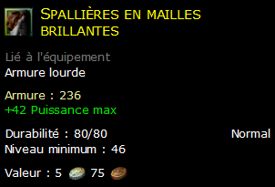 Spallières en mailles brillantes