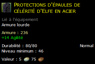 Protections d'épaules de célérité d'Elfe en acier