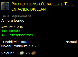 Protections d'épaules d'Elfe en acier brillant