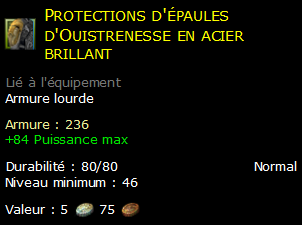 Protections d'épaules d'Ouistrenesse en acier brillant